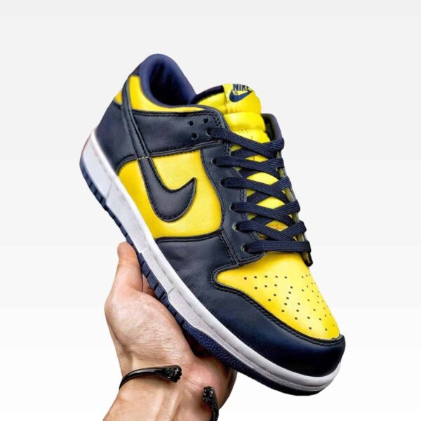 Nike SB Dunk Stealth Stride